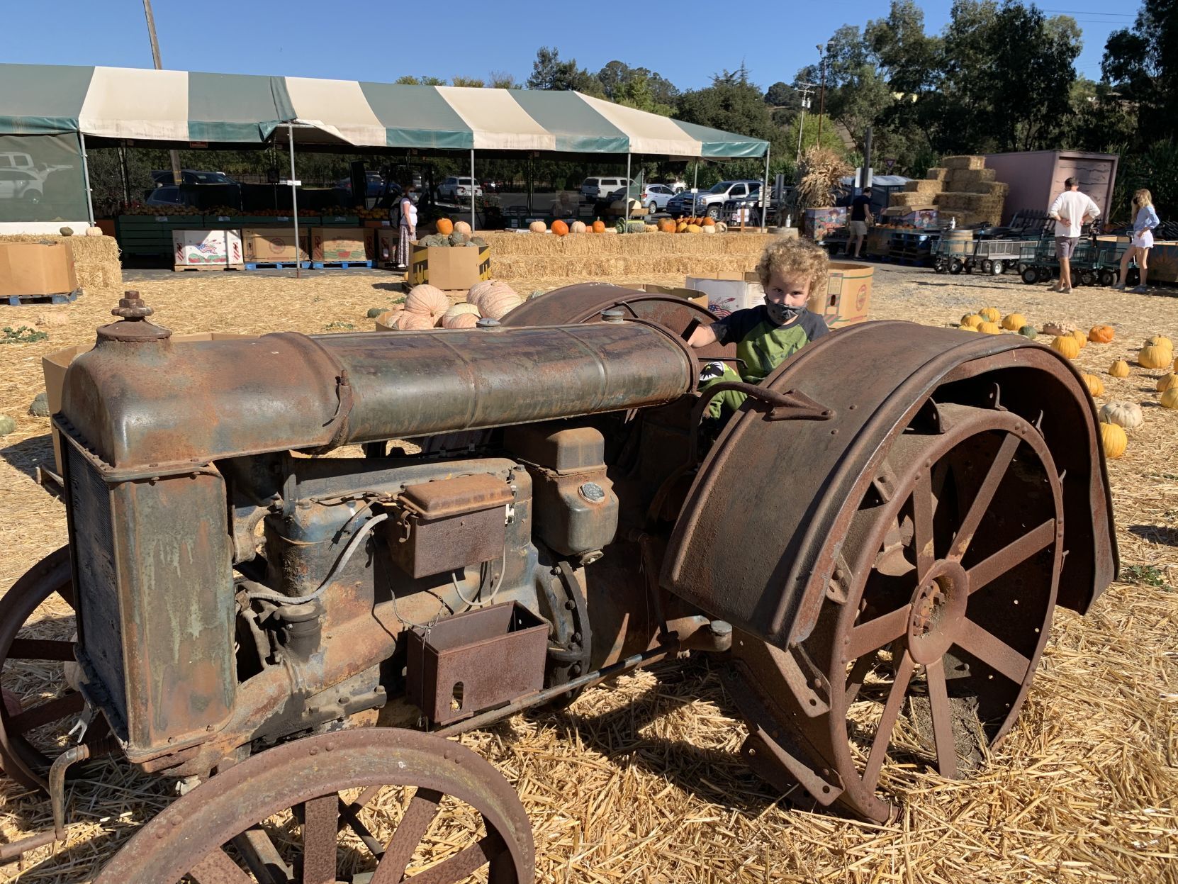 2020 pumpkin patch